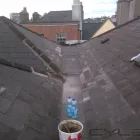 Business 1 image ALAN CROWE ROOFING Shopping in Dublin IE


