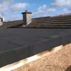 Business 3 image ALAN CROWE ROOFING Shopping in Dublin IE


