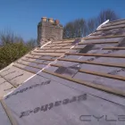 Business 7 image ALAN CROWE ROOFING Shopping in Dublin IE


