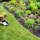 Business 1 image ANDREWS LANDSCAPING Landscaping & Gardening Services in Dublin D