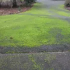 Business 3 image ANDREWS LANDSCAPING Landscaping & Gardening Services in Dublin D