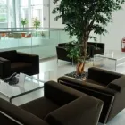 Business 4 image AQUA-DRY CARPET CLEANERS Carpet, Curtain & Upholstery Cleaners in Dublin D