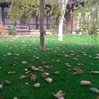 Business 4 image ARTIFICIAL GRASS STORE Turf & Lawn Suppliers in Dublin IE


