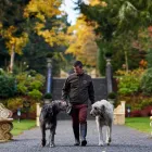 Business 3 image ASHFORD CASTLE Travel & Tourism in Cong G