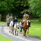 Business 12 image ASHFORD CASTLE Travel & Tourism in Cong G