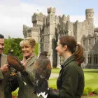 Business 39 image ASHFORD CASTLE Travel & Tourism in Cong G