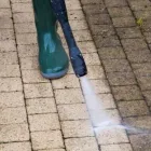 Business 6 image ASHWOOD TREE SERVICES Tree Work & Forestry Services in Dublin IE


