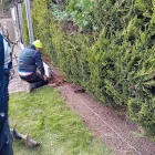 Business 25 image BARROW LANDSCAPING & GARDENING SERVICES Landscape Gardeners & Contractors in Waterford WD
