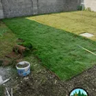Business 28 image BARROW LANDSCAPING & GARDENING SERVICES Landscape Gardeners & Contractors in Waterford WD