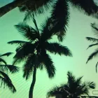 Business 2 image BEAU PARK LAW SOLICITORS Solicitors in Dublin IE


