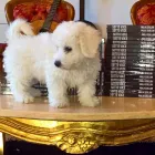 Business 13 image BEAU PARK LAW SOLICITORS Solicitors in Dublin IE


