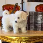 Business 15 image BEAU PARK LAW SOLICITORS Solicitors in Dublin IE


