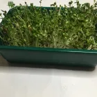 Business 1 image BETTERPLANTS Soil Preparation Services in Mullingar WH