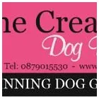 Business 1 image CANINE CREATIONS DOG DAY SPA Pet Grooming Services in Dublin IE


