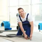 Business 1 image CARPET CLEANER DUBLIN Carpet & Upholstery Cleaning in Dublin D