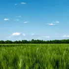 Business 2 image CHARLES R. WYNNE LTD Industries & Agriculture in Athy KE