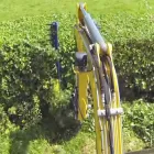 Business 1 image CORK HEDGE CUTTING Trees & Shrubs in Ovens CO
