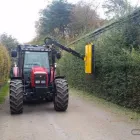 Business 3 image CORK HEDGE CUTTING Trees & Shrubs in Ovens CO