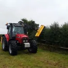 Business 4 image CORK HEDGE CUTTING Trees & Shrubs in Ovens CO