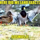 Business 2 image COSMOS.IE Marketing Consultants & Services in Sallins KE