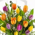 Business 3 image CREATIVE FLOWERS.IE Shopping in Dublin IE


