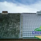 Business 1 image CROSSLINE PAVING & LANDSCAPING Paving Contractors in Deansgrange D