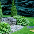 Business 6 image CROSSLINE PAVING & LANDSCAPING Paving Contractors in Deansgrange D