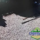 Business 17 image CROSSLINE PAVING & LANDSCAPING Paving Contractors in Deansgrange D
