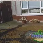 Business 18 image CROSSLINE PAVING & LANDSCAPING Paving Contractors in Deansgrange D