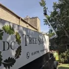 Business 1 image DC TREE SERVICES Tree Work & Forestry Services in Dublin IE


