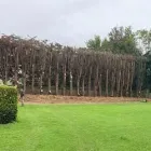 Business 2 image DC TREE SERVICES Tree Work & Forestry Services in Dublin IE


