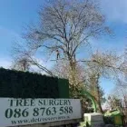 Business 5 image DC TREE SERVICES Tree Work & Forestry Services in Dublin IE


