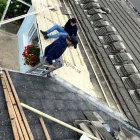 Business 47 image DELTA ROOFING DUBLIN Roofing Contractors in Dublin IE



