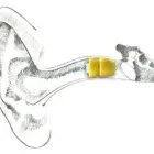 Business 2 image DONAL MACNALLY HEARING Health & Medicine in Dublin IE


