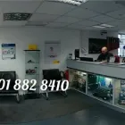 Business 1 image DORSET MOTORS Car Wash & Valeting in Dublin IE


