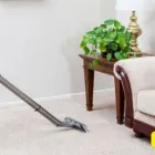 Business 1 image DUBLIN CARPET CLEANING Carpet & Upholstery Cleaning in Dublin D