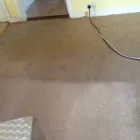 Business 3 image ECO CLEAN SOLUTIONS Carpet, Curtain & Upholstery Cleaners in Dublin IE


