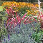 Business 1 image ELMA FENTON GARDEN ARCHITECTURE Real Estate & Home Improvement in Dublin IE


