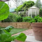Business 2 image ELMA FENTON GARDEN ARCHITECTURE Real Estate & Home Improvement in Dublin IE


