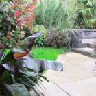 Business 4 image ELMA FENTON GARDEN ARCHITECTURE Real Estate & Home Improvement in Dublin IE


