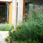 Business 5 image ELMA FENTON GARDEN ARCHITECTURE Real Estate & Home Improvement in Dublin IE


