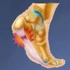 Business 8 image ENERGISE, PHYSICAL THERAPY AND SPORTS INJURY CLINIC Sports Injury Clinics in Wicklow WW