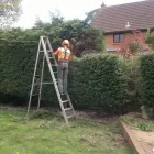 Business 1 image FAIRSTONE Tree Work & Forestry Services in Dublin IE


