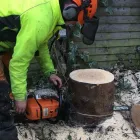 Business 1 image FLANNERY’S TREE CARE Trees & Shrubs in Dublin IE


