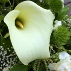 Business 2 image FLOWERS BY MARY Shopping in Kinnegad WH