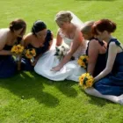Business 5 image FLOWERS BY MARY Shopping in Kinnegad WH