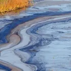 Business 4 image FULCRUM LOSS ASSESSING AND PROPERTY SERVICES Real Estate & Home Improvement in Monaghan MN