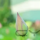 Business 1 image GERALDINE BRENNAN COUNSELLING Psychotherapists in Dublin IE


