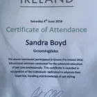 Business 7 image GROOMINGDALES Pet Grooming Services in Dublin IE


