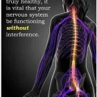 Business 4 image HAVEN PAIN RELIEF CENTRE Physiotherapists in Douglas CO
